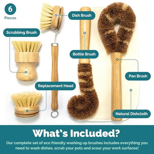 Jungle Tradition® 6-Piece Eco-Pleasant Dish Brush Set for Washing Dishes • Pure Kitchen Cleansing Brushes • Plant-Based mostly Coconut Scrubbers • Contains Bottle/Pot Brush and Eco...